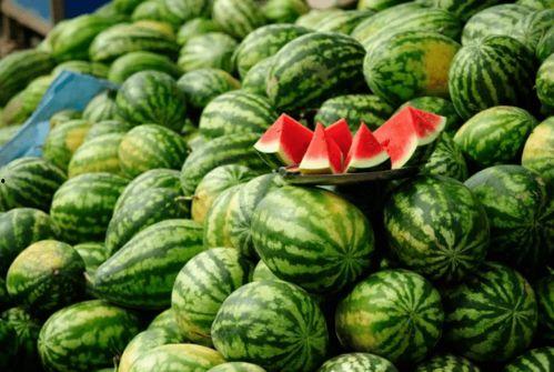 善堂网红吃瓜视频大全下载,善堂网红吃瓜视频大全下载精选回顾