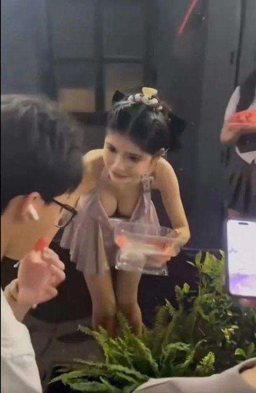 吃网红黑瓜视频大全集,揭秘网络红人幕后故事