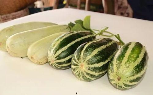 网红旅游吃瓜走红,揭秘网红打卡地的美食魅力