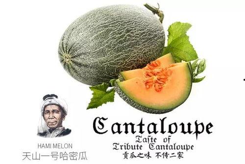 网红吃瓜推特号,带你领略娱乐圈幕后风云”