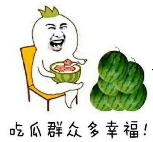 快乐吃瓜网,快乐吃瓜网带你畅游八卦盛宴