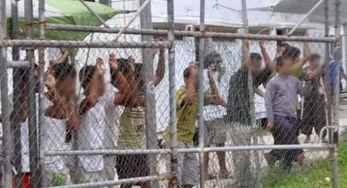 网红井川里吃瓜,揭秘网红背后的真实生活