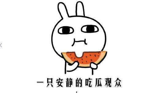 抖音网红各种吃瓜在哪看,热门视频汇总攻略