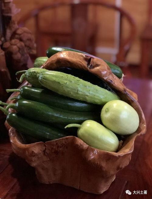 网红吃的小瓜叫什么,小瓜新吃法，口感独特引关注